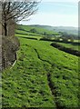 Bridleway below Jan's Hill in DT6 5NW