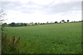 View Across a field of Grass to Brinscombe Cottage in EX13 7JY