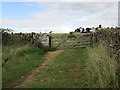 Gate on the bridleway in GL20 7PH