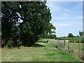 Farm track off Ridgmont Road in Husborne Crawley