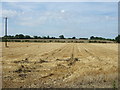 Stubble field off Salford Road in MK17 8UT