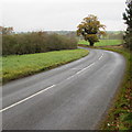 Bend in the road north from Caersws in SY17 5HD