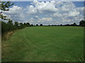 Grazing and hedgerow near Hulcote in MK17 8BN