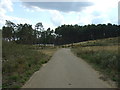 Track (bridleway) near Woodland, Center Parcs Woburn Forest in MK45 2HZ