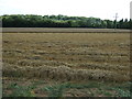 Stubble field, Water End in MK45 4AE