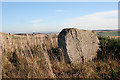 Braehead Recumbent Stone Circle (1) in AB52 6NP