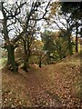 Footpath through the leaves to Ladybower in S33 0AQ