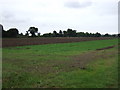Farmland off the B1119 in IP17 1NG