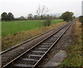 Cambrian Line railway from Caersws towards Machynlleth in SY17 5HH