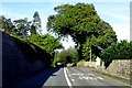 Beaumaris Road in Glyngarth in LL59 5NU