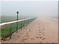 Crossing the straight at Southwell racecourse in NG23 5SZ