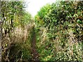 Public footpath, Tarraby in CA3 9HW