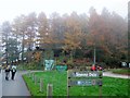 A  misty  morning  at  Go  Ape  Dalby  Forest in YO18 7LS