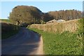 B3163 approaching Hill Barn in DT8 3NA