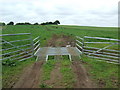 Cattle grid at Knock in AB42 5DL
