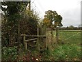 Stile and footpath off Plant Lane in CW11 3PQ