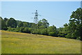 Pylon in a buttercup meadow in TN11 8AT