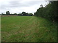 Farmland and hedgerow, Green Dragon Farm in IP22 5TD