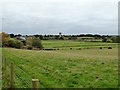View across the Clyst valley from Darts Farm in EX3 0QH
