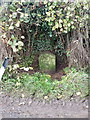The Cantlop milestone in Shropshire