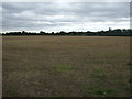 Stubble field near Chestnut Tree Farm in IP22 5SR