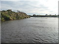 South bank, Beal Short Reach, River Aire in DN14 0SP