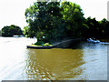 River Bure, Salhouse Island in NR13 6HQ