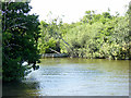 River Bure, Near Sedge Fen in NR12 8JG