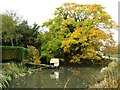 The duck pond in Murcott in OX5 2RE