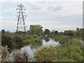 Bridgwater & Taunton Canal approaching Bathpool in TA2 8PS