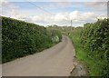 Lane near Budleigh in TA21 9LW