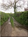 Green lane near Budleigh in TA21 9LW