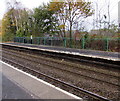Green railings, Shifnal railway station in TF11 8DT