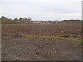 Ploughed field, St Margaret's Hope in DD11 3BD