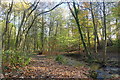 Porter Brook in Whiteley Woods in S10 4GF