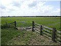 Limpenhoe Marshes in NR14 6LR