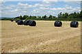 Silage bales in GL2 7LZ