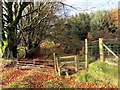 Llwybr Carmel / Carmel path in SA19 8NP