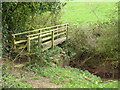 Footbridge over the stream below Lower Bolstone Wood in HR2 6LY
