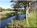 Footbridge over the Afon Dwyfor in LL52 0SY