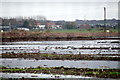 Flooded field, Blowick Moss in PR8 4ZZ