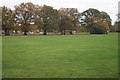 View across King George's Field in GU14 6TG