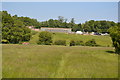 Footpath across a meadow in TN11 8EX