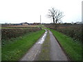 Winding track towards Manor House Farm, East Cowton in DL7 0BD