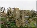 A Triangulation Pillar on a large plinth between two gates near Middle and Lower Gribble in EX38 8PY
