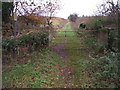 Farm track (bridleway) off the B6271 in DL10 7EU