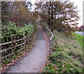 Path ascending from Newport Road, Shifnal in TF11 8BX