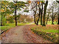 Path into Heaton Park in M25 1HR