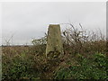 Hedge Topping Little Ashridge Triangulation Pillar in EX39 5HB
