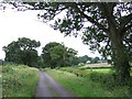Lane to Poltimore Farm in TA20 3HW